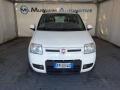 usato FIAT Panda