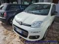 usato FIAT Panda