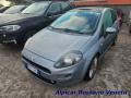 usato FIAT Punto
