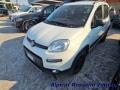 usato FIAT Panda