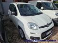 usato FIAT Panda