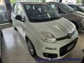 usato FIAT Panda
