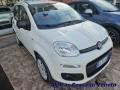 usato FIAT Panda