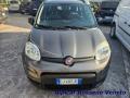 usato FIAT Panda