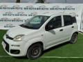 usato FIAT Panda