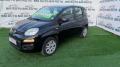 usato FIAT Panda
