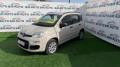 usato FIAT Panda