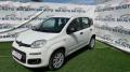 usato FIAT Panda