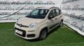 usato FIAT Panda