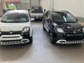 Km 0 FIAT Pandina