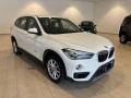 usato BMW X1