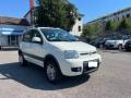usato FIAT Panda