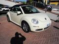 usato VOLKSWAGEN New Beetle