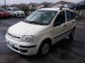 usato FIAT Panda