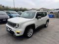 usato JEEP Renegade