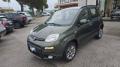 usato FIAT Panda