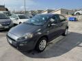 usato FIAT Punto