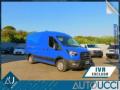 usato FORD Transit