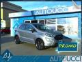usato FORD EcoSport