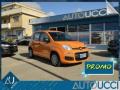 usato FIAT Panda