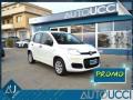 usato FIAT Panda