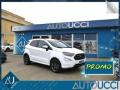 usato FORD EcoSport