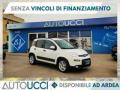 usato FIAT Panda