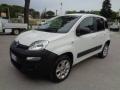 usato FIAT Panda