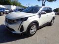 usato PEUGEOT 3008