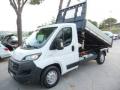 usato FIAT Ducato