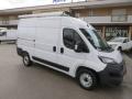 usato FIAT Ducato