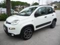 usato FIAT Panda