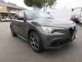 usato ALFA ROMEO Stelvio