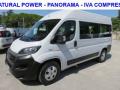 usato FIAT Ducato
