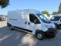 usato FIAT Ducato