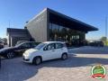 usato FIAT Panda