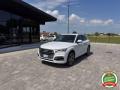 usato AUDI Q5