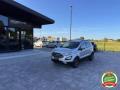 usato FORD EcoSport