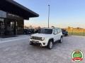 usato JEEP Renegade