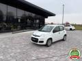 usato FIAT Panda