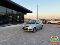 usato FIAT Panda