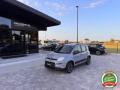 usato FIAT Panda