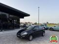 usato FIAT Punto