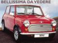usato ROVER Mini