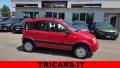 usato FIAT Panda