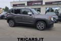 usato JEEP Renegade
