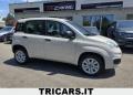 usato FIAT Panda