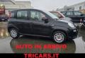 usato FIAT Panda