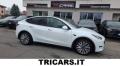 usato TESLA Model Y