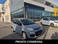 usato FIAT Panda